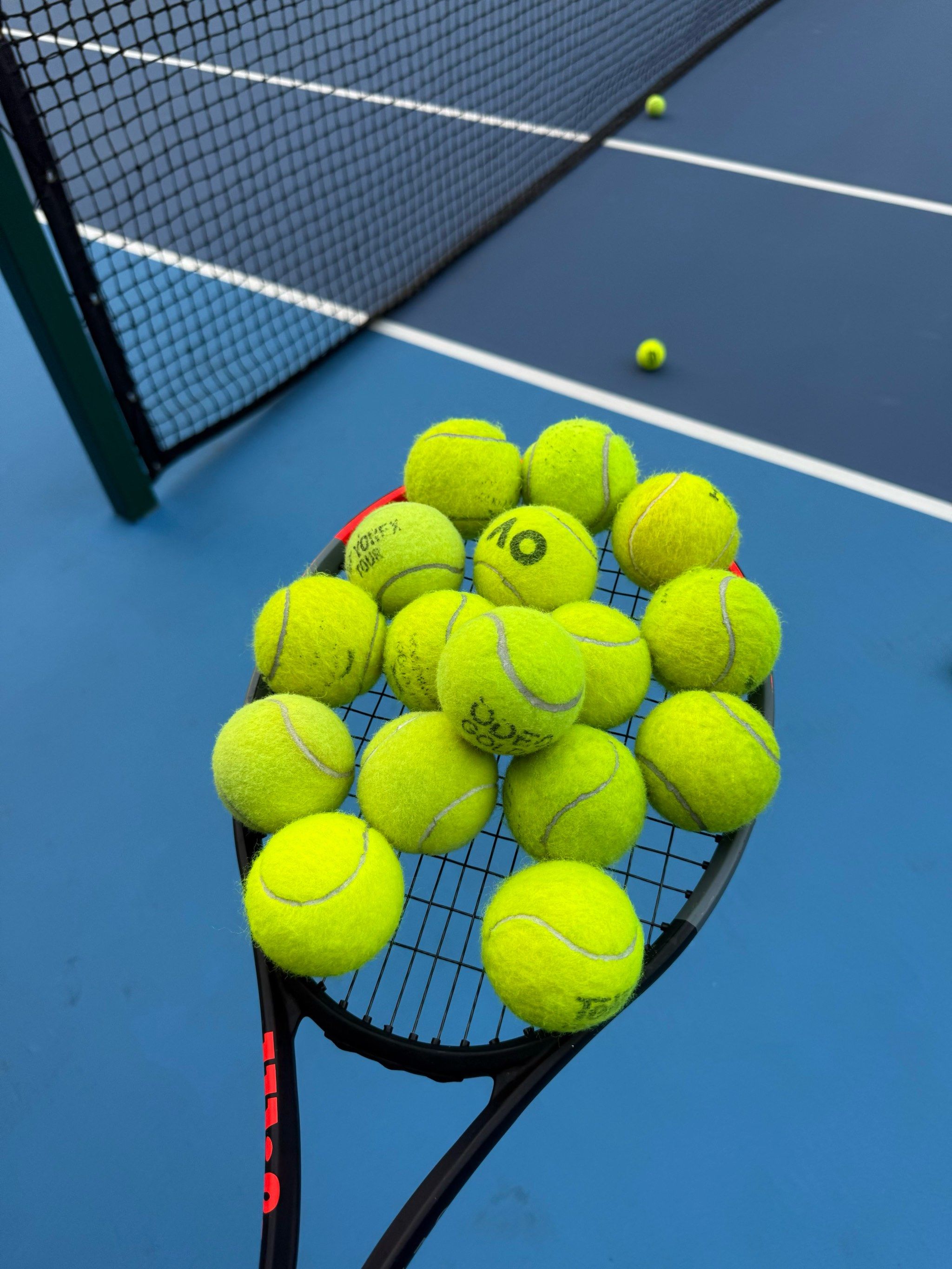 意大利队再 意大利队再